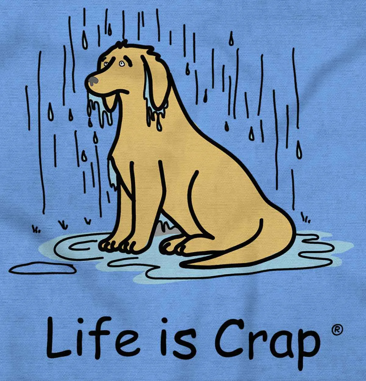 Dog In The Rain Hoodie
