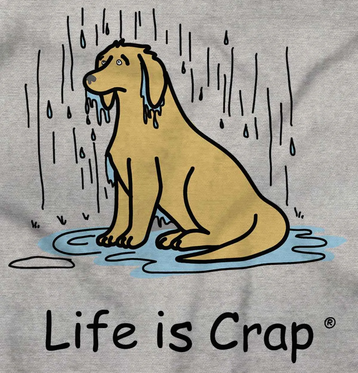 Dog In The Rain Hoodie