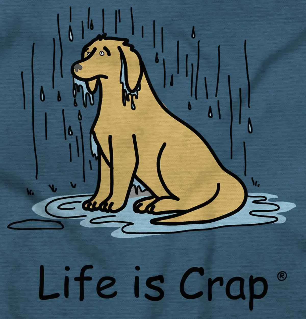 Dog In The Rain Hoodie