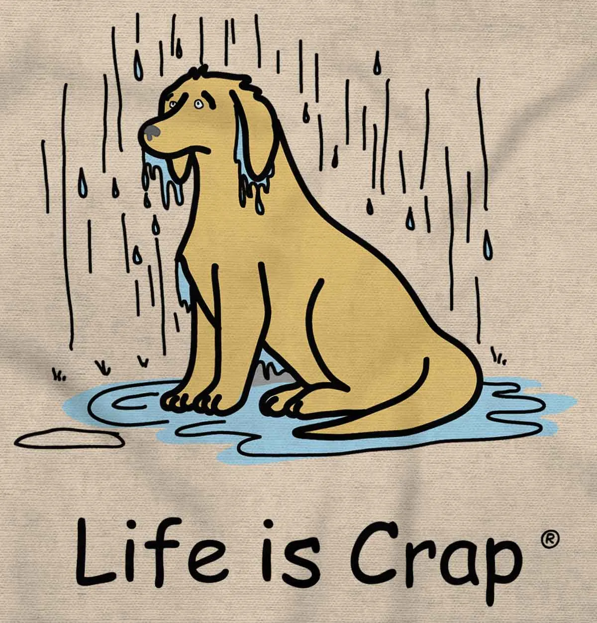 Dog In The Rain Hoodie
